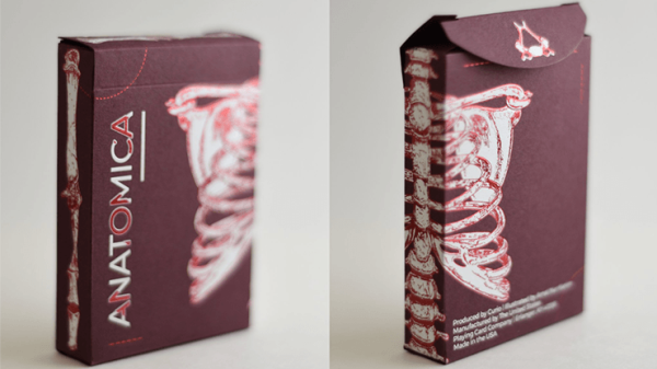 Anatomica Playing Cards Cartamundi For Cheap - Image 5
