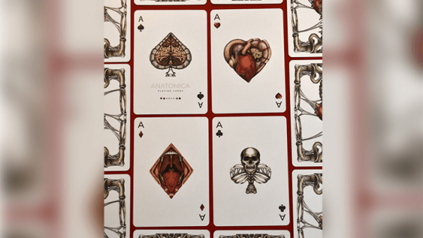Anatomica Playing Cards Cartamundi For Cheap - Image 3