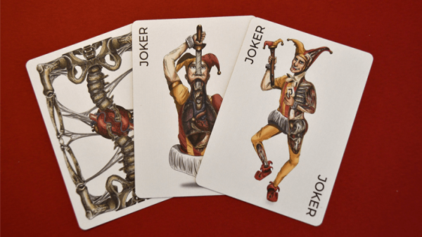 Anatomica Playing Cards Cartamundi For Cheap - Image 4